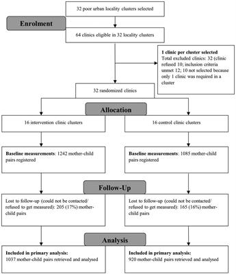 Integrating maternal depression care at primary private clinics in low-income settings in Pakistan: A secondary analysis